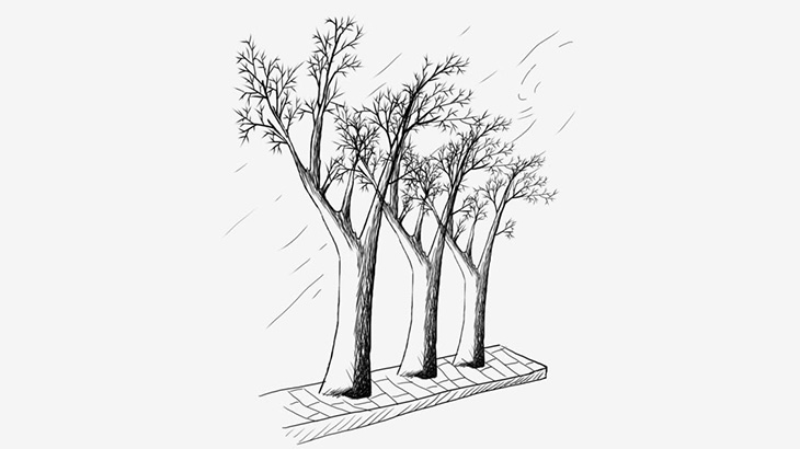 【中国】街の緑化計画するぞ！ → 枯れ木に葉っぱをホチキスで止める（動画）