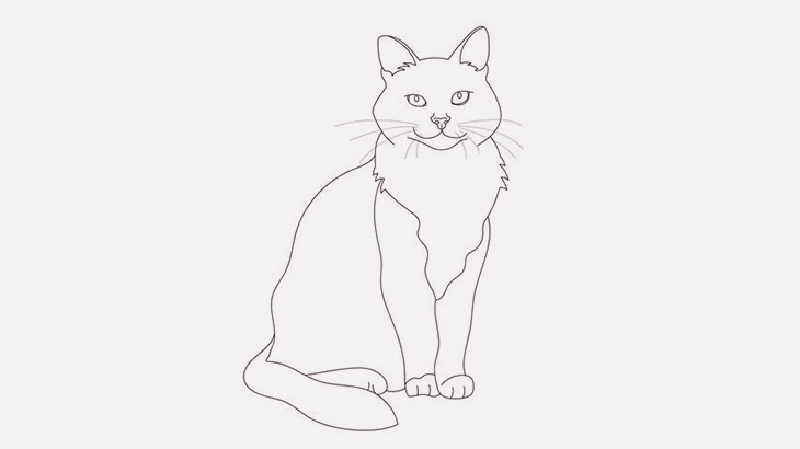 猫さん、とんでもない隙間から這い出てきてしまう（動画）