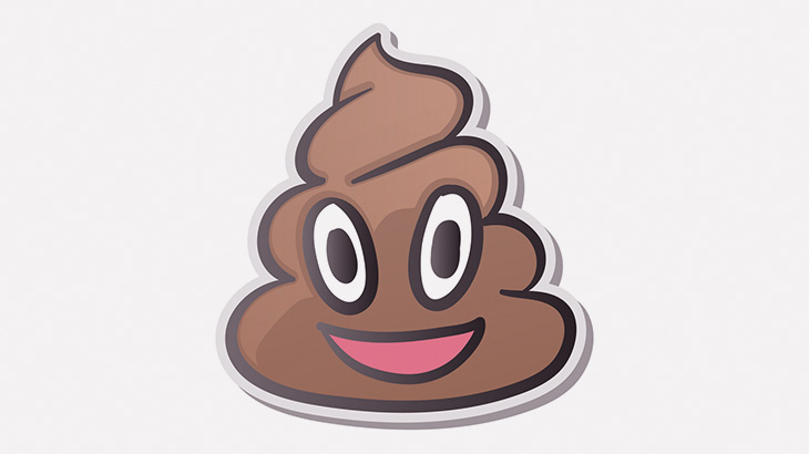 【クソ注意】流れないくらいデカいウンコしちゃったから撤去するね（動画）