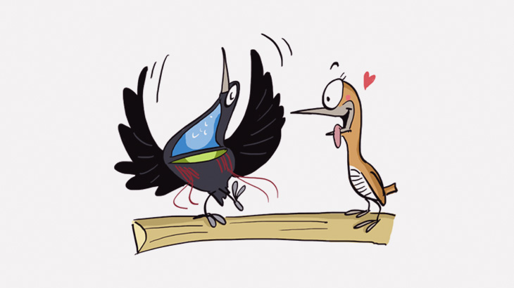 キレッキレのダンスを踊る鳥（動画）