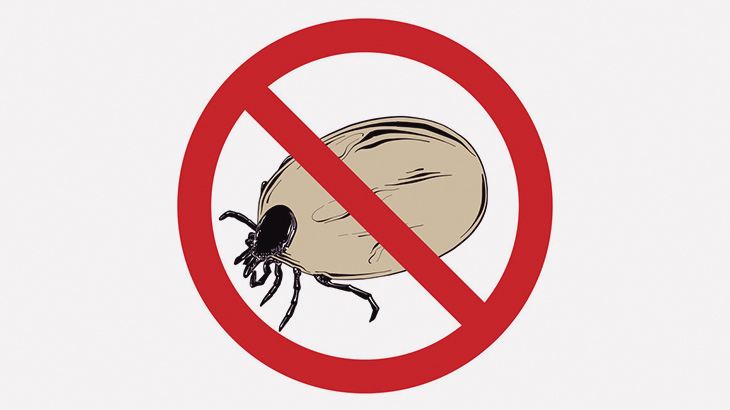 【微閲覧注意】ペットの犬の体からこんな生き物が落ちてきた･･･（動画）