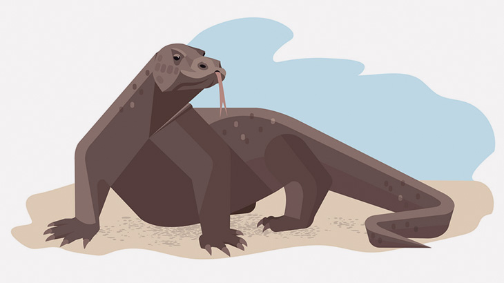 コモドオオトカゲさん、子山羊を丸飲みしてしまう（動画）