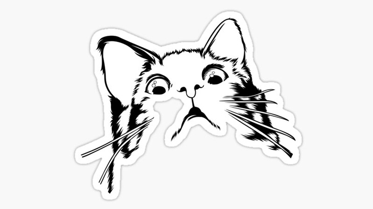 猫の鳴きマネが上手すぎる男と目を見開く猫（動画）