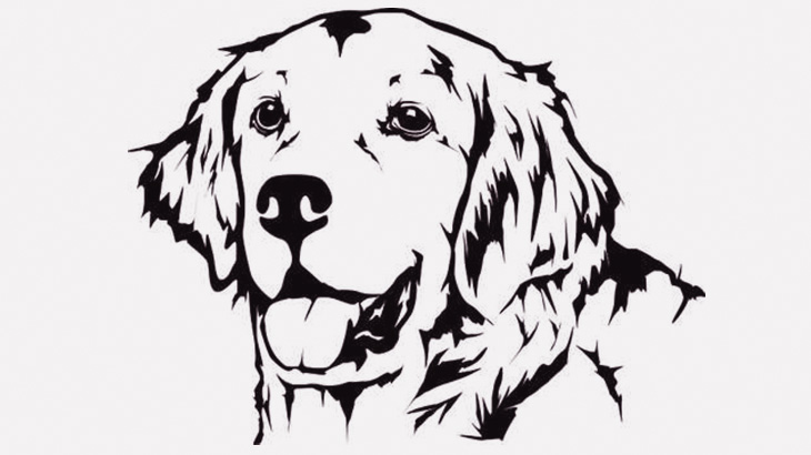 愛犬の恐ろしい顔だけまとめてみた（動画）