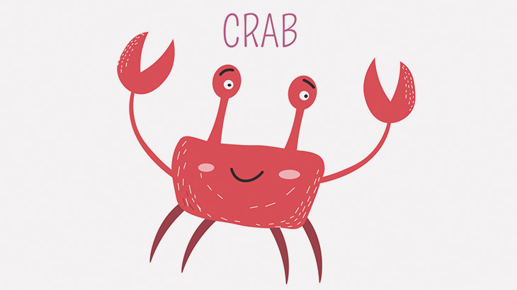 カニ「なんやこれ邪魔やな」 → 自分の爪を引きちぎってしまう（動画）