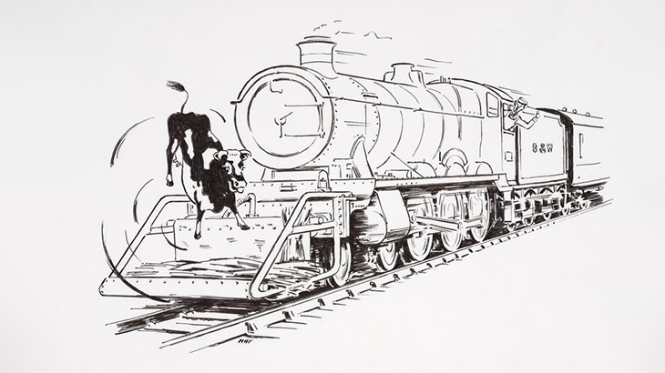 【閲覧注意】電車に轢かれる動物たちコンピレーション（動画）