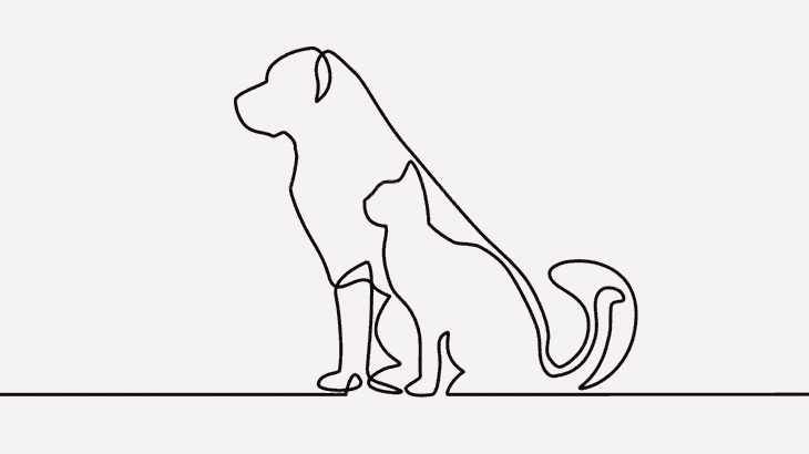 【閲覧注意】戦死したロシア兵士、野良犬と野良猫に食われてしまう･･･（動画）