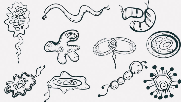 細菌に過酸化水素を1滴垂らす → 細菌たち破裂（動画）