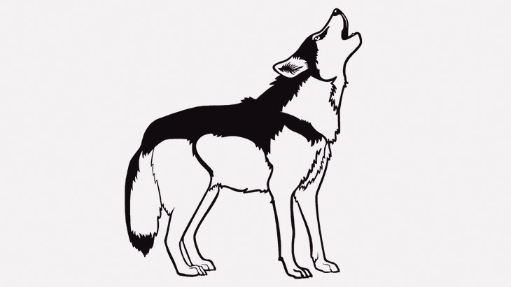 「ハロー！」って喋れるワンコが撮影される（動画）