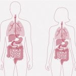 【閲覧注意】破裂した人間の体、まだ肉片がピクピク動いてる･･･（動画）