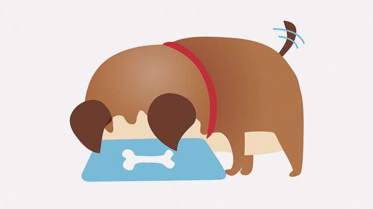 【閲覧注意】犬に頭を食われてる人間の死体みつけた･･･（動画）