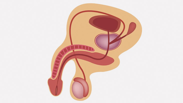 変態男さん、尿道にとんでもないものを入れてしまう（動画）