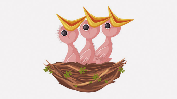 【微閲覧注意】産まれたばかりの雛鳥の口の中、キモすぎる･･･（動画）