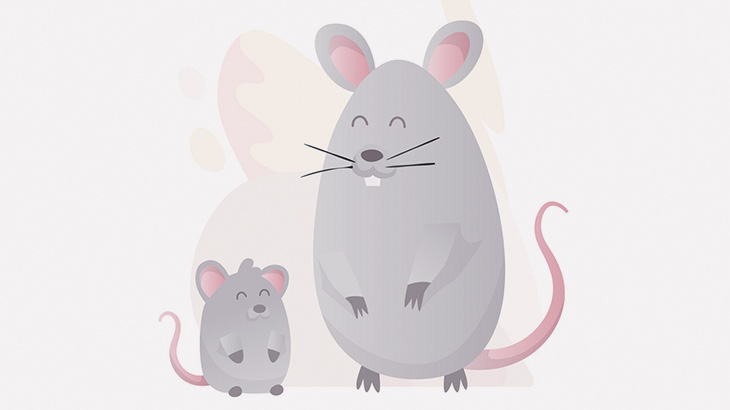 洪水に見舞われた巣から我が子を助け出すママネズミ（動画）