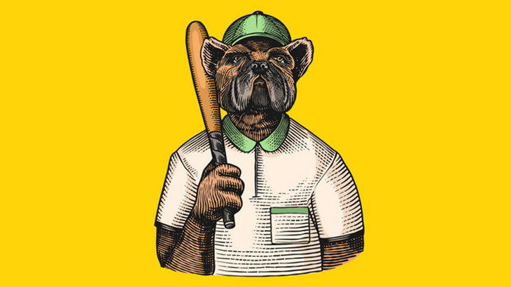 このワンコ、バッティングが上手すぎる（動画）