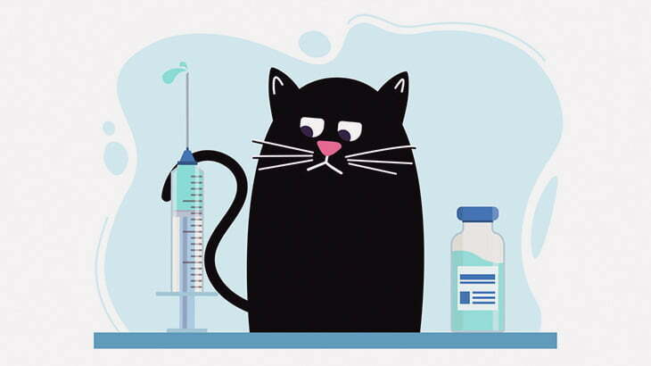 予防接種を嫌がる猫、めちゃくちゃ叫ぶ（動画）