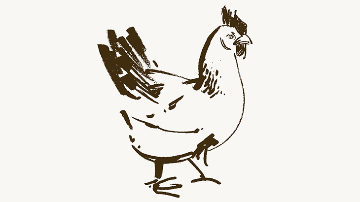 餌に罠をしかけてニワトリをおちょくってみた（動画）