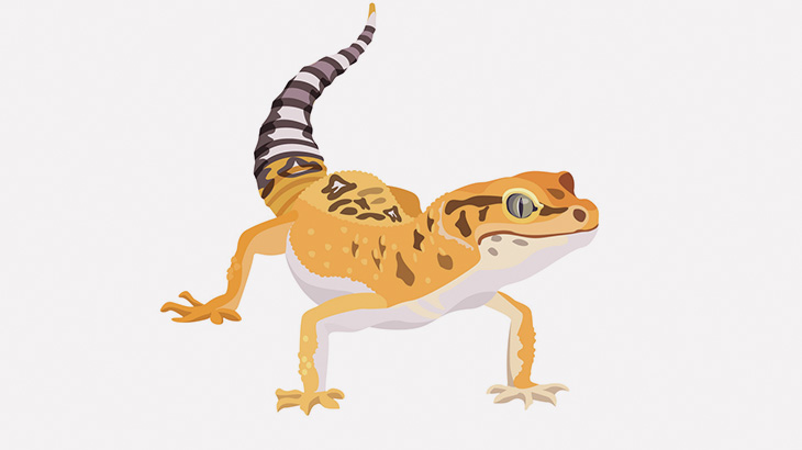 テラス席にいた女性、食べ物をトカゲに奪われてしまう（動画）