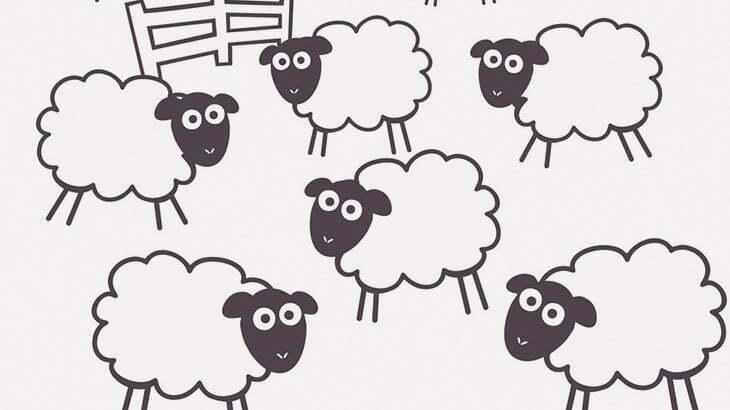 数百頭の羊たち、謎の儀式を始めてしまう（動画）