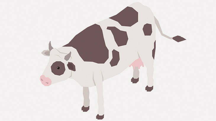 【閲覧注意】牛の体に出来た膿瘍に切り込みを入れる → ドバドバ（動画）