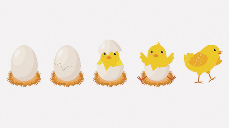 卵を切り開いた状態で孵化させてみた（動画）