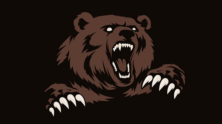 【超！閲覧注意】クマに顔を破壊された男、生きてる･･･（動画）