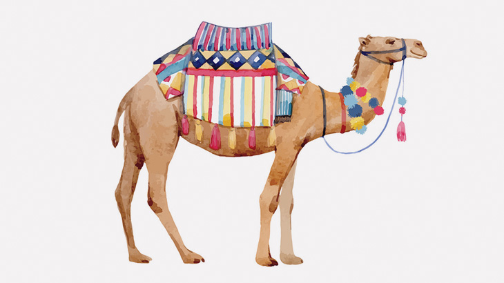 よちよち歩きの男の子がラクダに鞭打ちしようとした結果（動画）