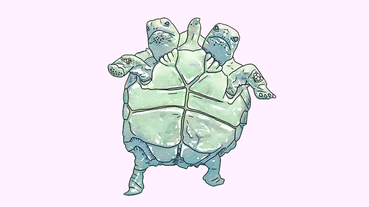 頭が2つあるカメに餌をあげてみた（動画）