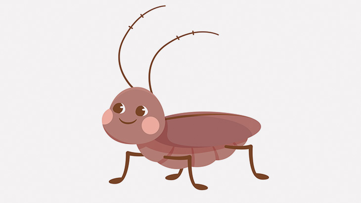 【閲覧注意】ゴキブリが赤ちゃん産んでたから撮影してみた（画像＋動画）