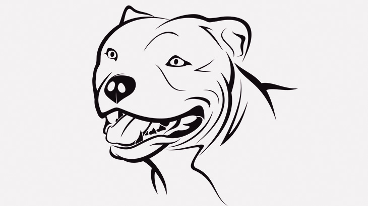 【閲覧注意】人間の腕を破壊したピットブルさん、血まみれ･･･（動画）