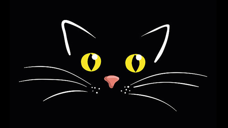 【閲覧注意】30匹の猫を飼っていた男、こんな姿で発見される･･･（画像）