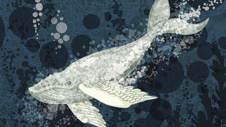 【閲覧注意】16歳の少女「これから電車に轢かれて自殺しまーすｗｗｗ」（動画）