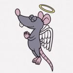 ネズミさん、突然の飛び降り自殺（動画）