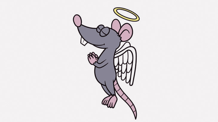 ネズミさん、突然の飛び降り自殺（動画）