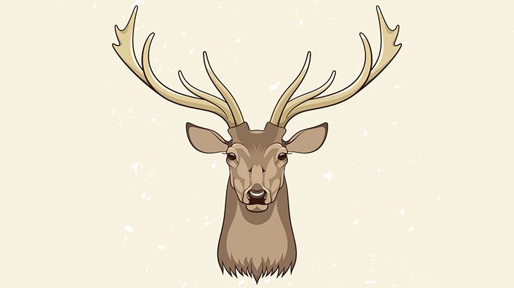 【微閲覧注意】この鹿の目、ヤバいことになってた･･･（画像）