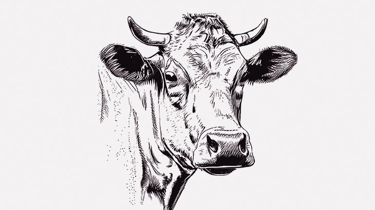 【閲覧注意】牛の鼻の穴からヤバいものが引っこ抜かれる･･･（動画）