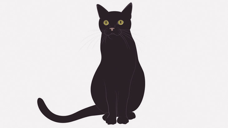 炎を自在に操るネコが撮影される（動画）