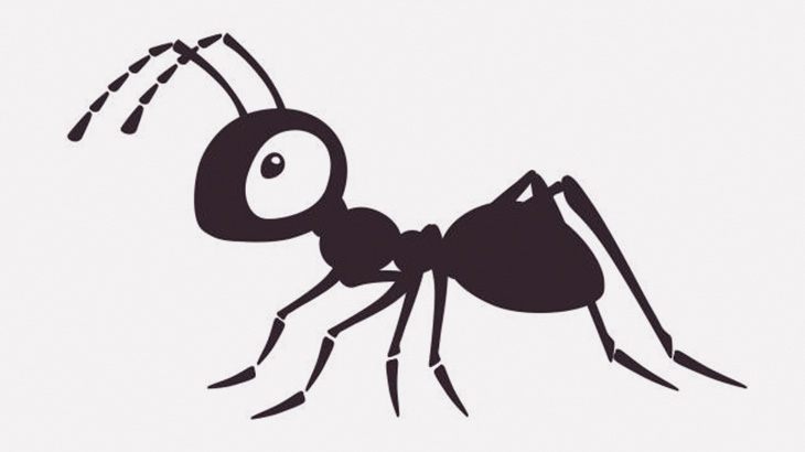 変態男「アリにチンチンを噛ませてみたｗｗｗｗ」（動画）