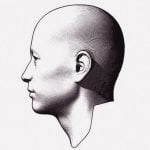 【閲覧注意】機械に巻き込まれた男、なぜか頭皮をごっそり剥がされてしまう･･･（画像）