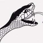 【微閲覧注意】頭を切断されたヘビさん、自分の体に咬み付いてしまう･･･（動画）