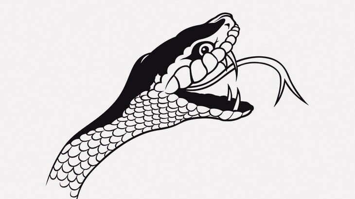 【微閲覧注意】頭を切断されたヘビさん、自分の体に咬み付いてしまう･･･（動画）
