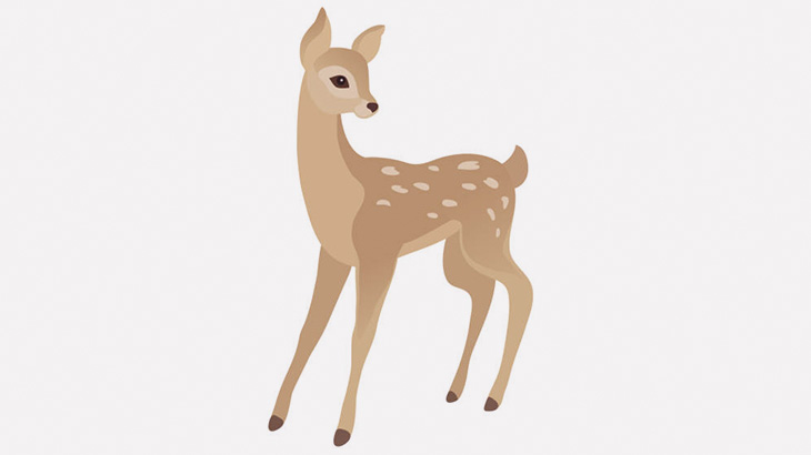 【閲覧注意】車と衝突した鹿さん、こうなる･･･（画像）