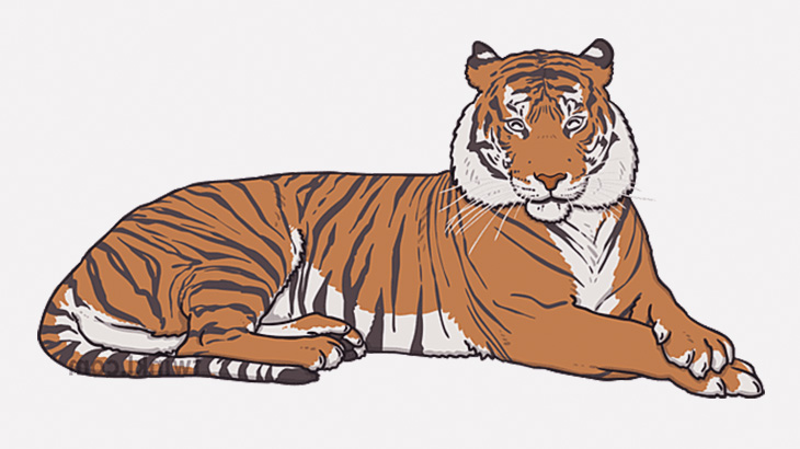 全裸にボディペインティングした女性たち「トラになるわよ！」（動画）