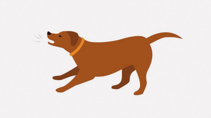 ガラス扉越しでしか吠えない2匹のワンコ（動画）