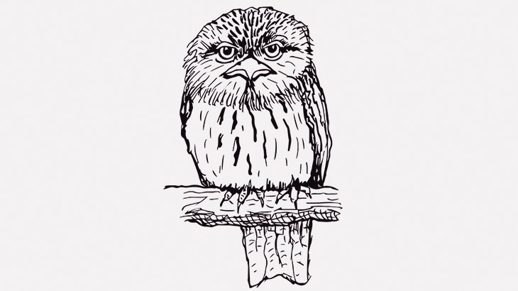 枯れ木に鳥の雛がとまってたから撫でてみた（動画）