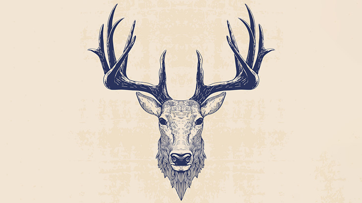 鹿さん、取れてしまった自分の角にビックリして走り去る（動画）