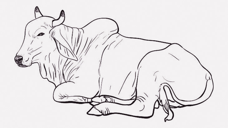 獣医師「牛の体内にガスが溜まったら穴を開けて火をつけなきゃならないんすよ」（動画）