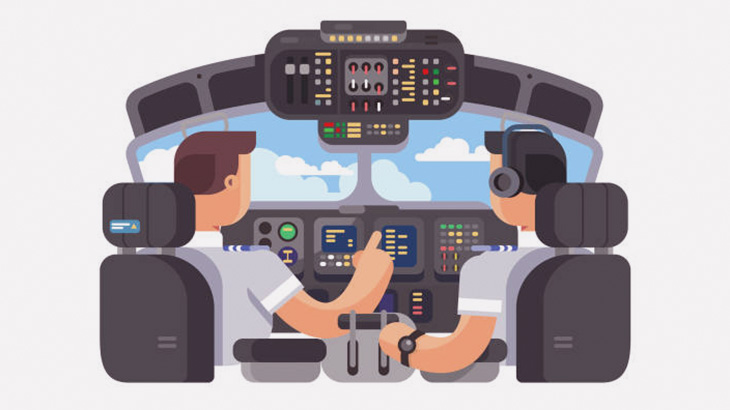 【微閲覧注意】空を飛ぶ鳥さん、飛行機に激突して死亡（動画）