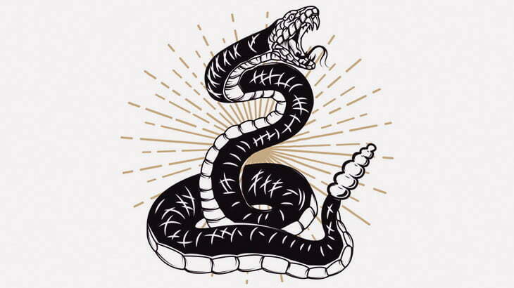 ガラガラヘビに咬まれた足、こんなんなっちゃった･･･（画像）