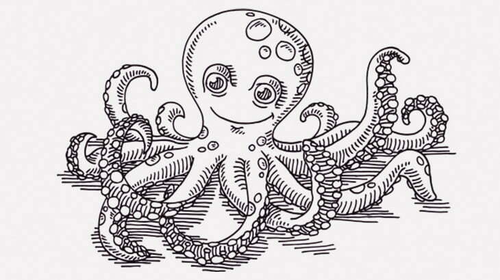 【微閲覧注意】32本足のタコが発見される（画像）